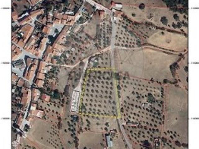Terreno em São Bartolomeu do Outeiro
