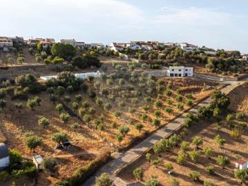 Terreno em Oriola