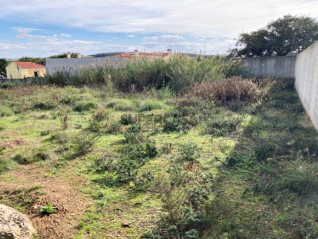 Terreno Rústico com 3 800m2 na Lourinhã