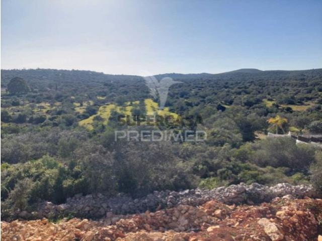 Terreno em São Brás de Alportel