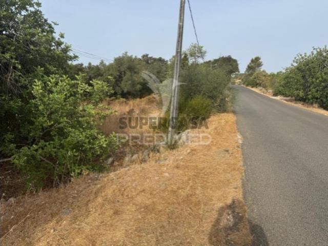 Terreno em São Brás de Alportel