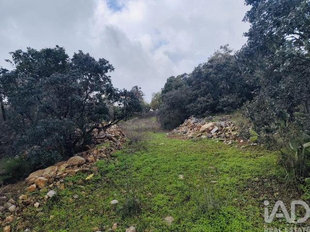 Terreno em São Brás de Alportel