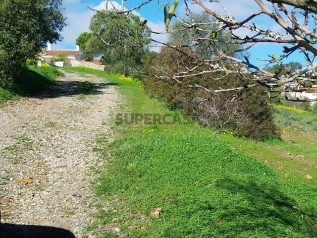 Terreno em São Brás de Alportel