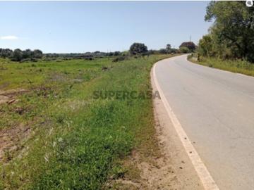 Terreno em São Brás e São Lourenço