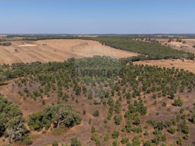 Terreno em São Domingos
