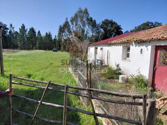 Terreno em São Teotónio