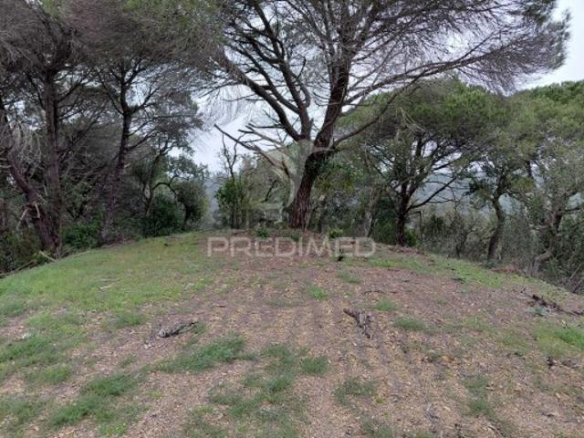 Terreno em São Francisco da Serra