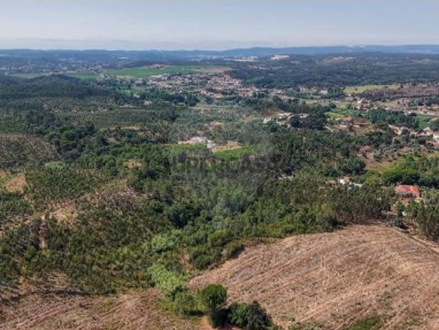 Terreno em São João da Ribeira e Ribeira de São João