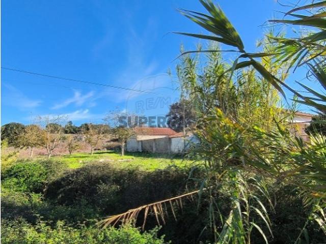 Terreno em São João da Ribeira e Ribeira de São João