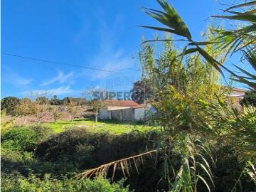 Terreno em São João da Ribeira e Ribeira de São João