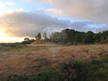 Terreno em São João da Ribeira e Ribeira de São João