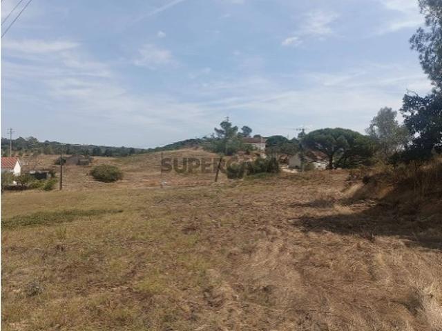 Terreno em São João da Ribeira e Ribeira de São João