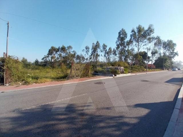 Terreno em São João de Ovar
