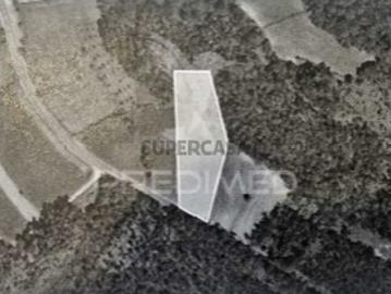 Terreno em São João de Loure e Frossos