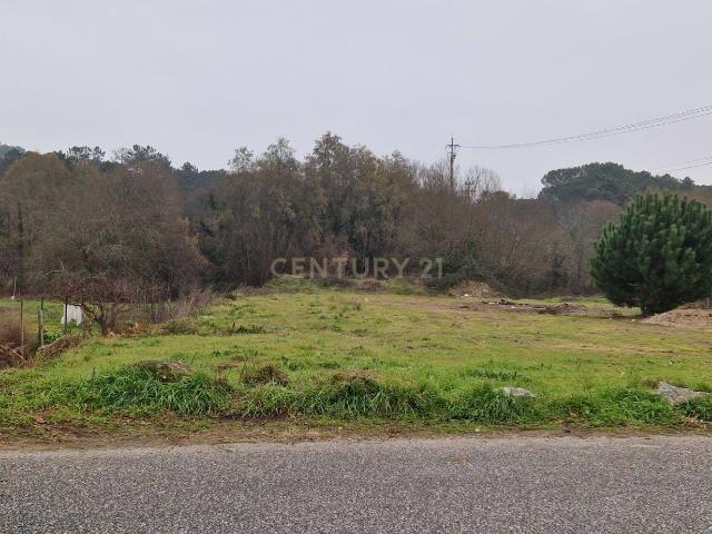 Terreno em São João de Lourosa, Viseu Oportunidade Única