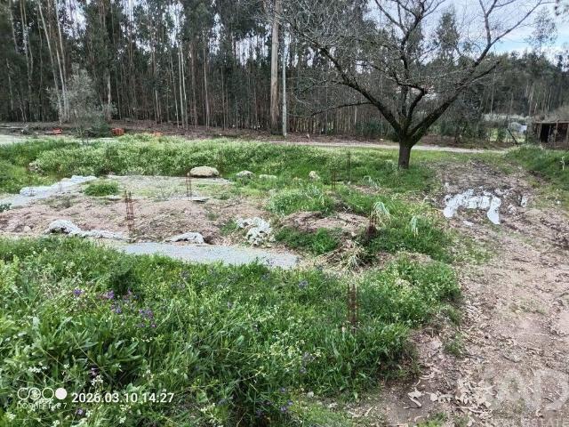 Terreno em São Joaninho
