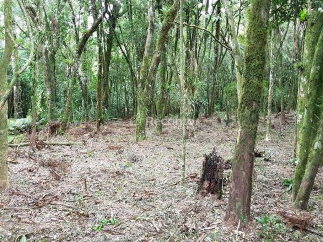 Terreno em São Jose, Canela/RS de 784m² à venda por R$ 1.500.000,00