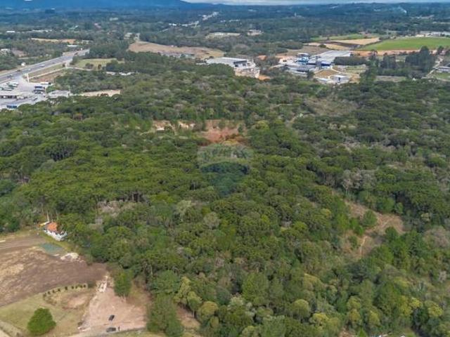 Terreno em São José dos Pinhais com 21600m2 ao lado da Simoldes plásticos