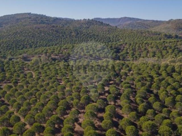 Terreno em São Luís