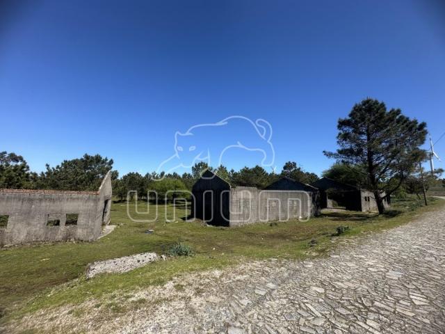 Terreno em São Mamede