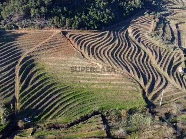 Terreno em São Mamede de Ribatua