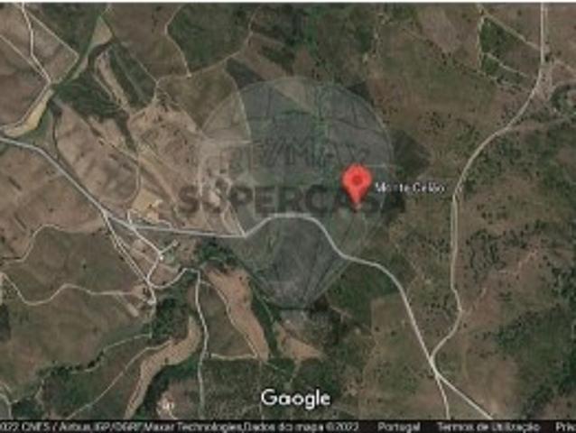 Terreno em São Martinho das Amoreiras