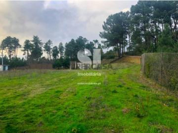 Terreno em São Martinho de Antas e Paradela de Guiães