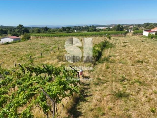 Terreno em São Martinho de Antas e Paradela de Guiães