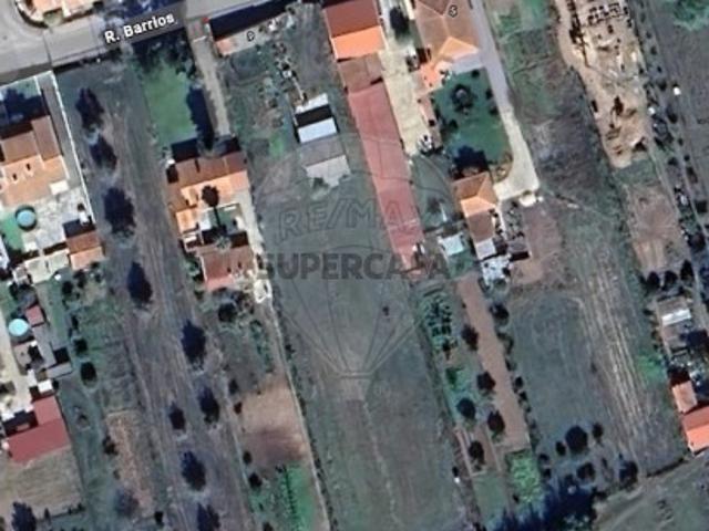 Terreno em São Martinho de Árvore e Lamarosa
