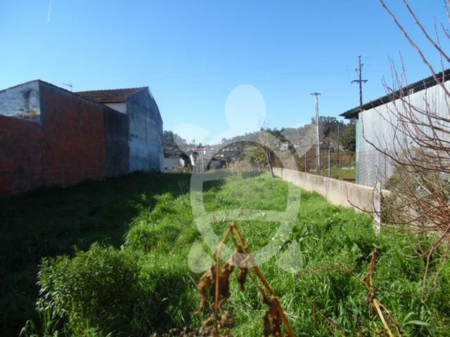 Terreno em São Martinho do Bispo