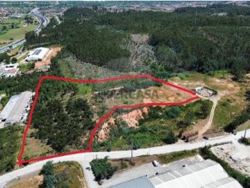 Terreno em São Martinho do Bispo e Ribeira de Frades