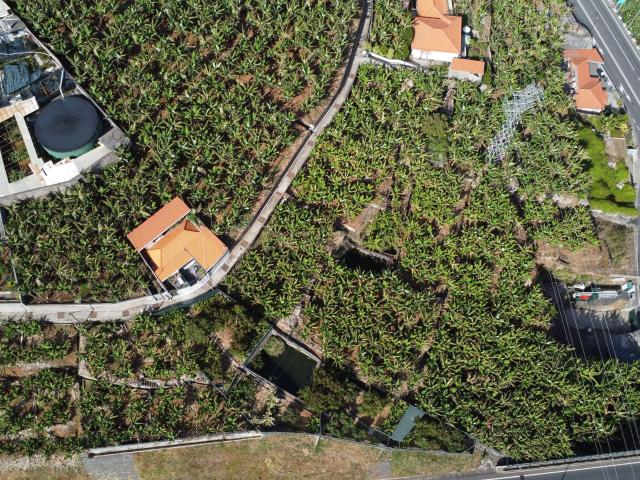 Terreno em São Martinho, Funchal