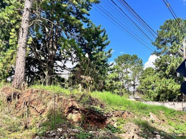 Terreno em São Miguel, Curitiba/PR de 0m² à venda por R$ 2.300.000,00