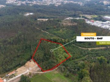 Terreno em São Miguel do Souto Santa Maria da Feira, com 9900 m2