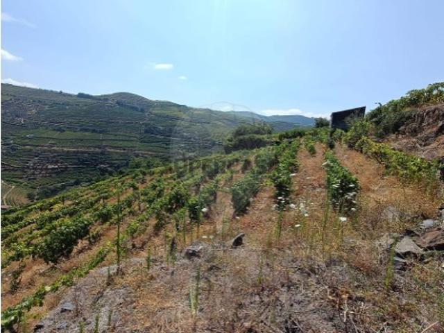 Terreno em São Miguel de Lobrigos