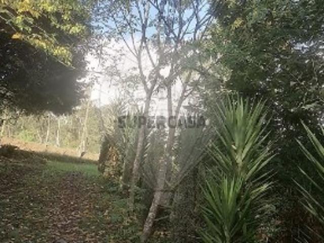 Terreno em São Miguel de Souto