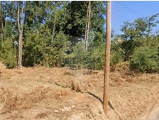 Terreno em São Miguel de Souto
