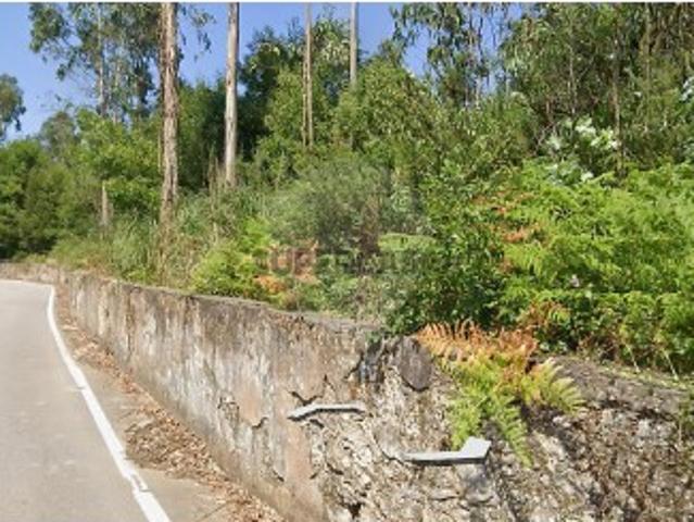 Terreno em São Miguel de Souto