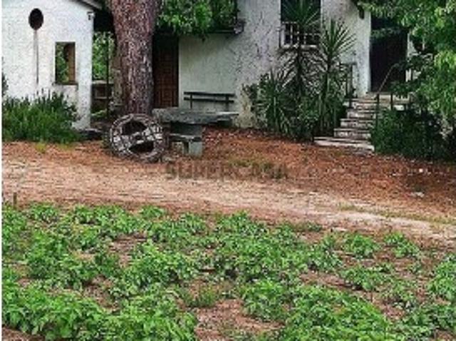 Terreno em São Miguel de Vila Boa