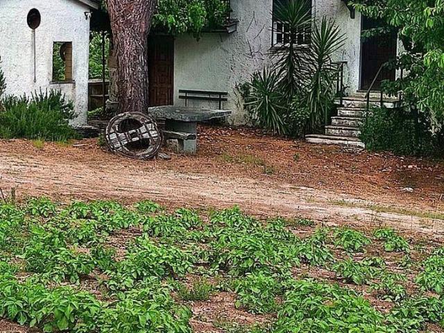 Terreno em São Miguel de Vila Boa