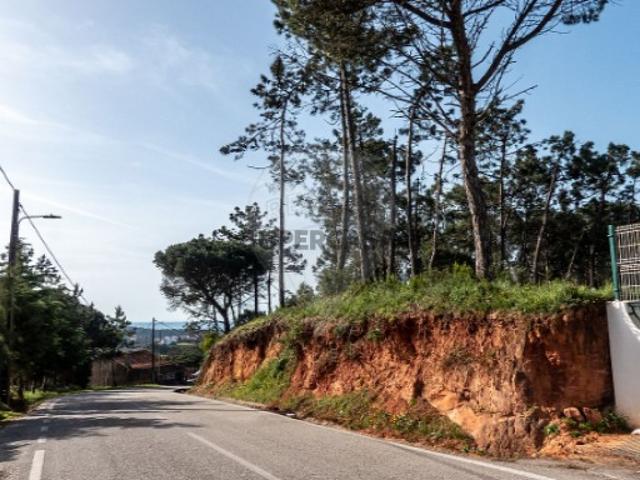 Terreno em São Pedro