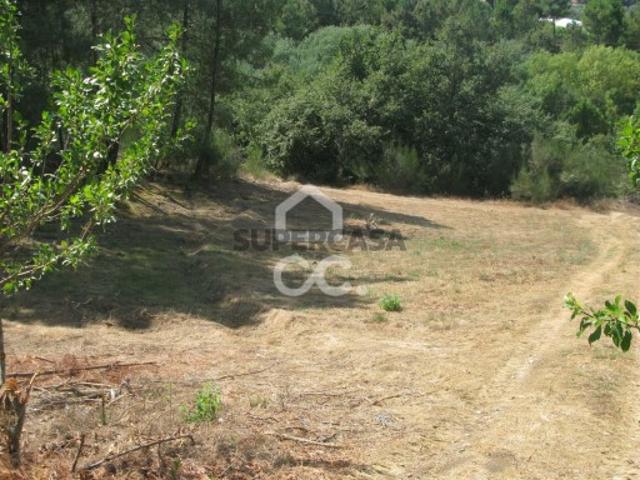Terreno em São Pedro de Agostem