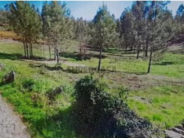 Terreno em São Pedro de Arcos