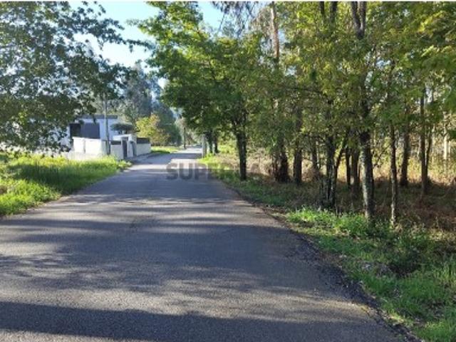 Terreno em São Pedro de Castelões