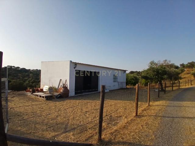 Terreno em São Romão, Ciladas