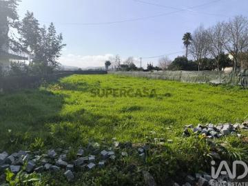 Terreno em São Romão de Neiva