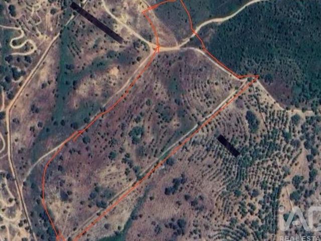 Terreno em São Salvador e Santa Maria