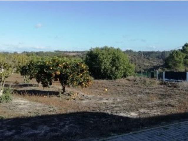 Terreno em São Salvador e Santa Maria