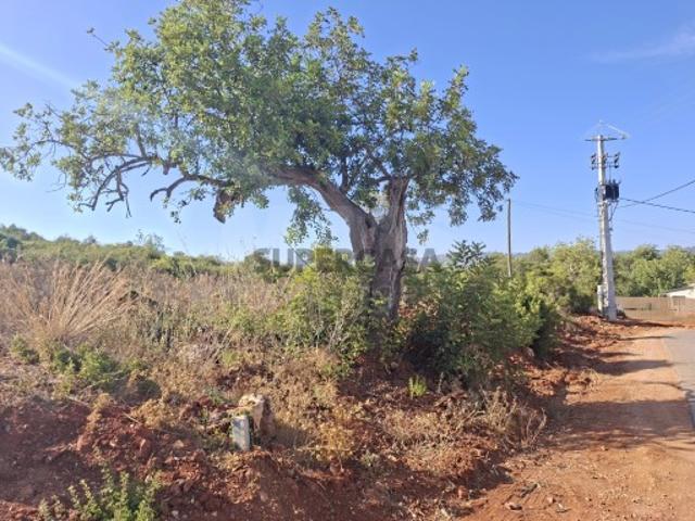 Terreno em São Sebastião