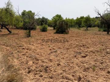 Terreno em São Sebastião